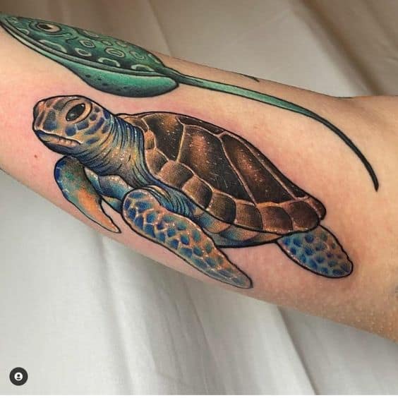 Tartaruga tatuaggio carino
