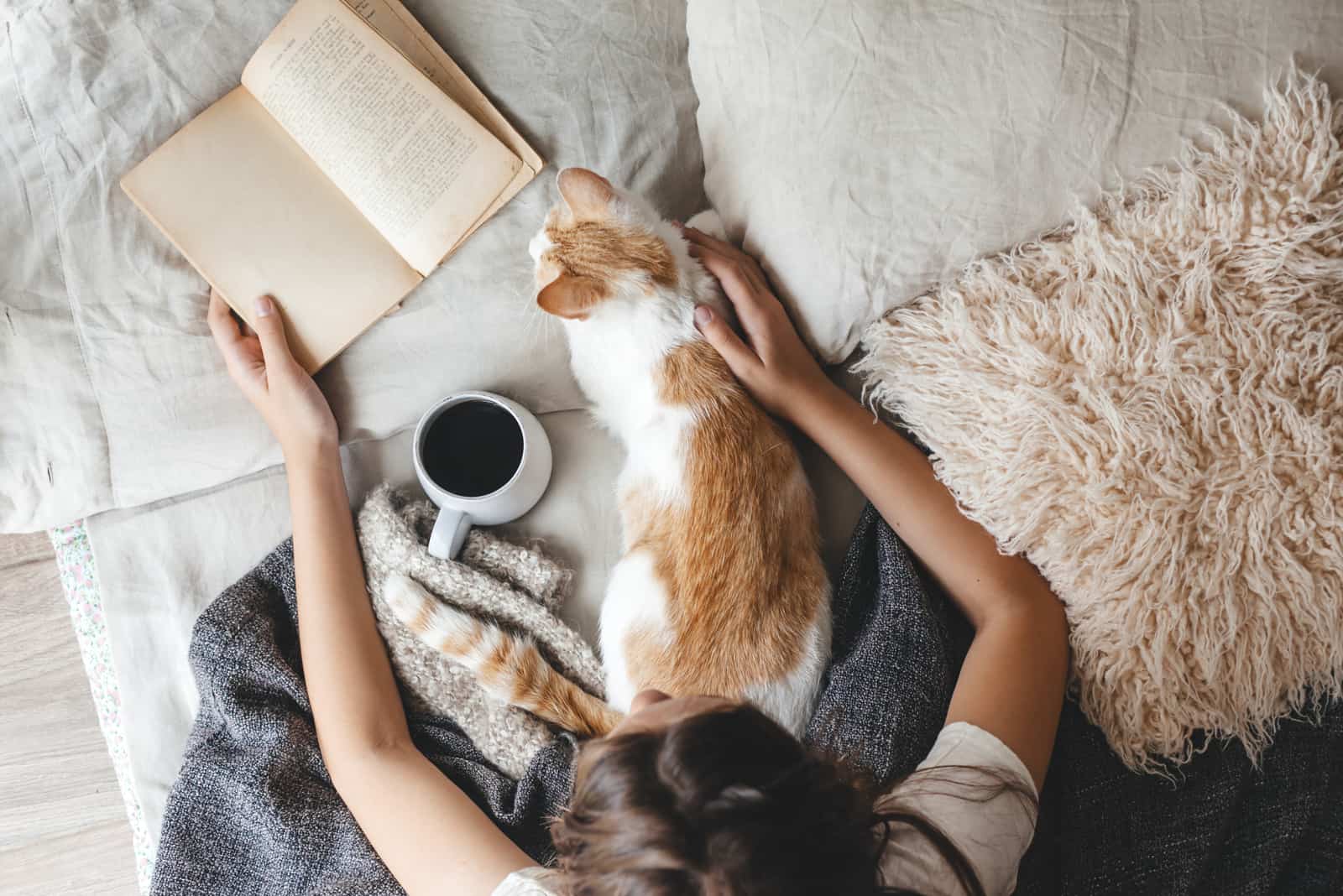 woman reads book with cat in lap