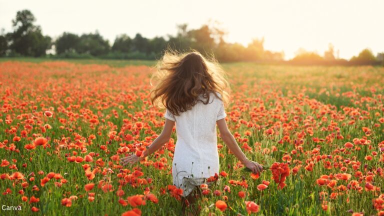 uma mulher com um vestido branco a caminhar pelo campo de flores vermelhas