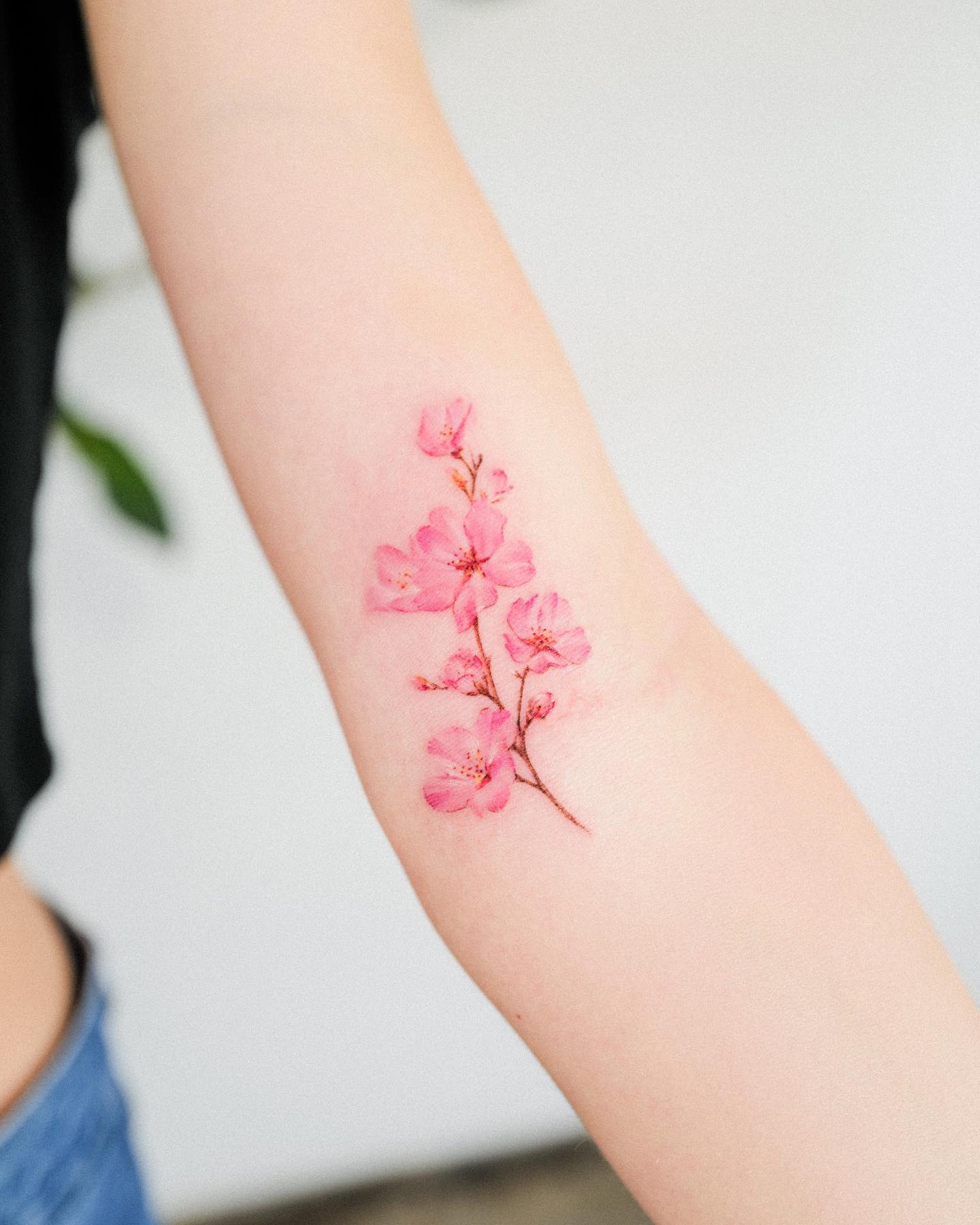 tatuaggio con fiori di ciliegio