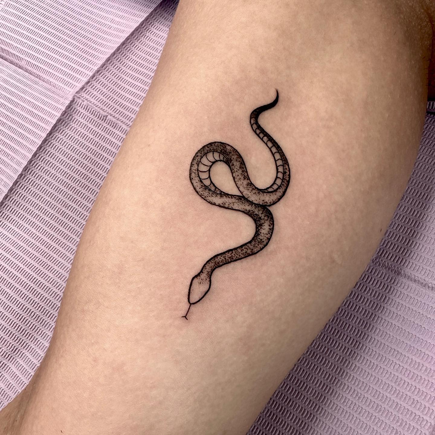 tiny snake tattoo