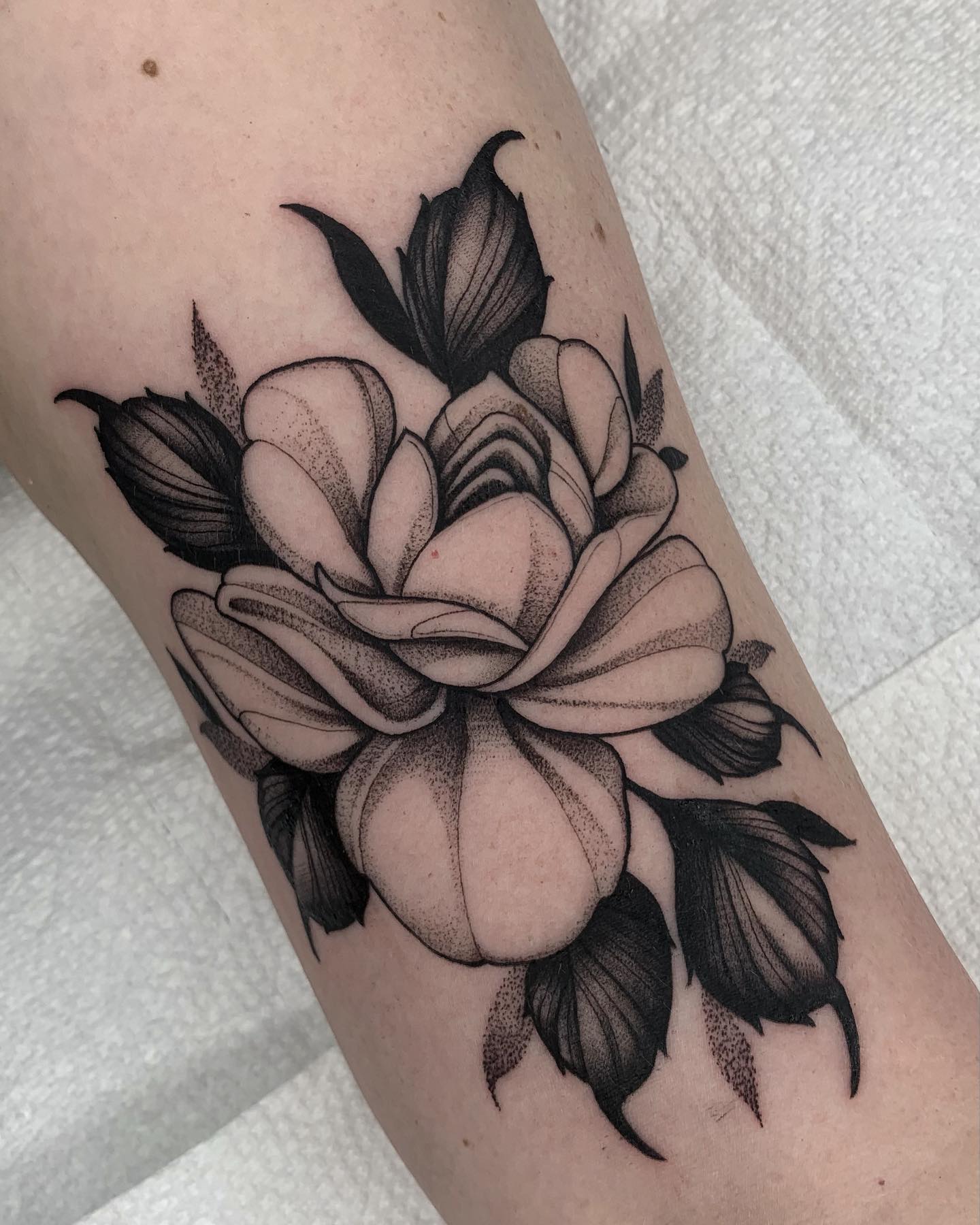 english rose tattoo