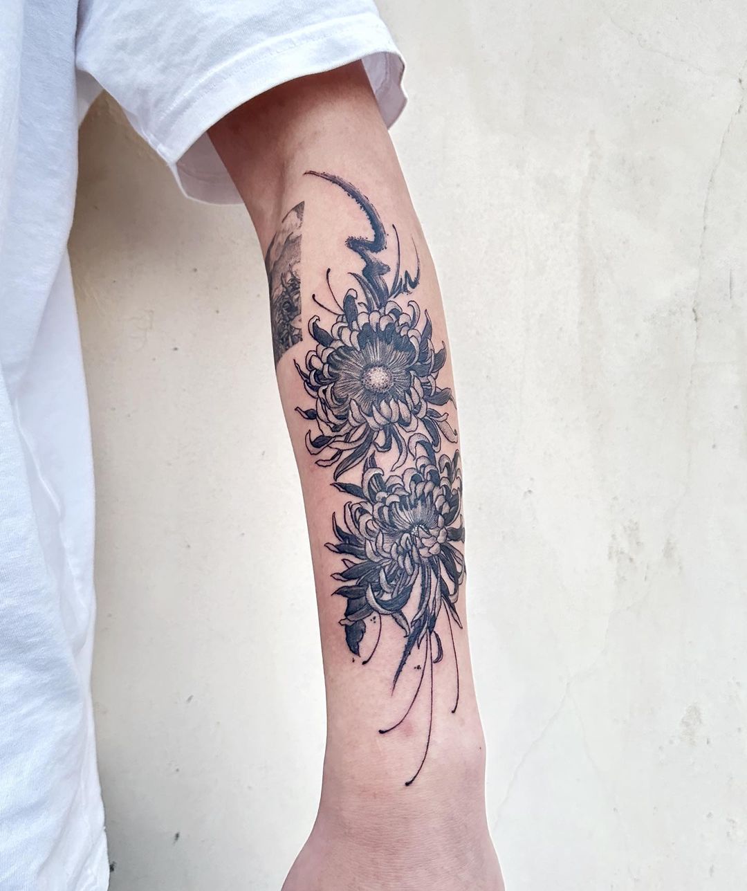 Tatuaggio Chrysanthemum