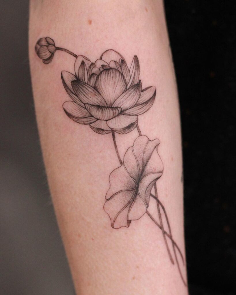 Trabalho a tinta de linhas finas e elegantes com flores de lótus