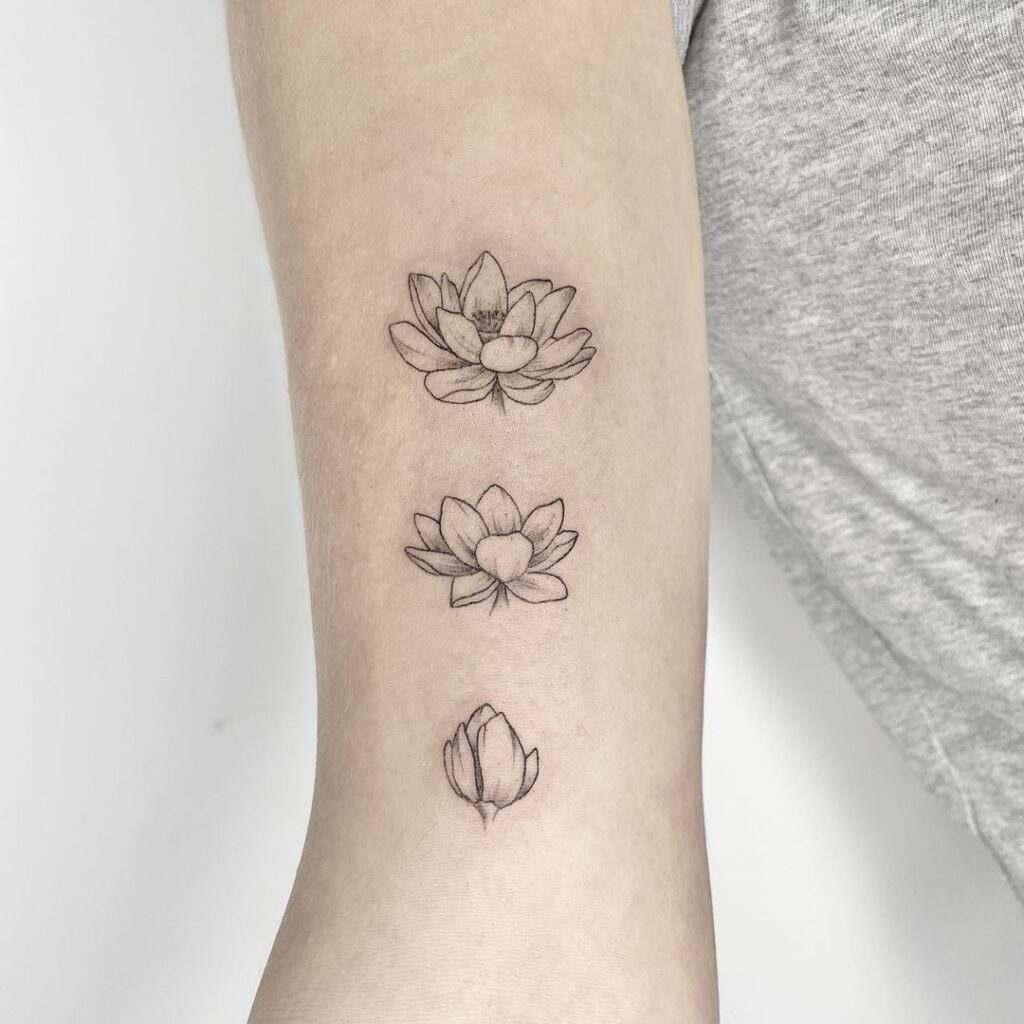 Lotus Flower Daily Cycle Ink