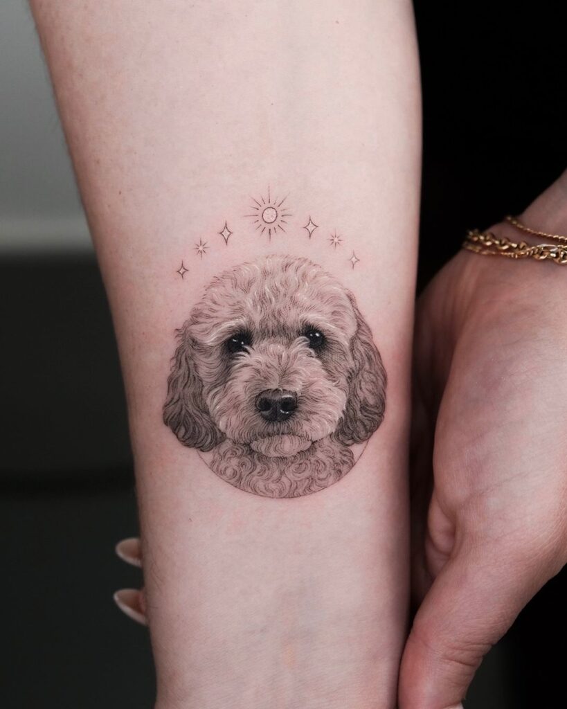 Tatuaje de caniche pequeño