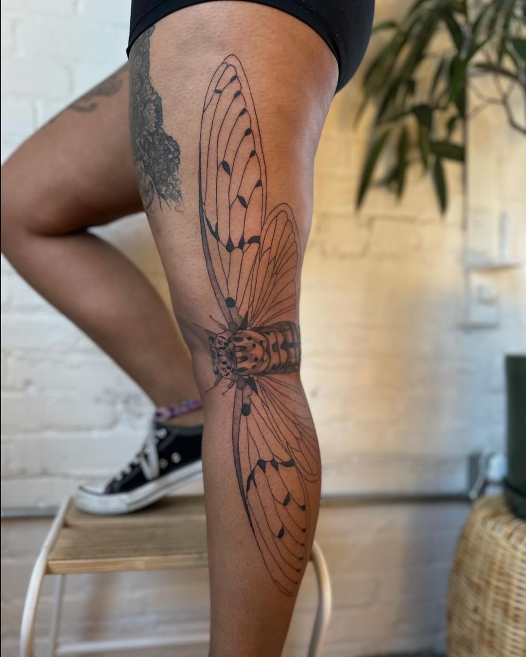 cicada leg tattoo