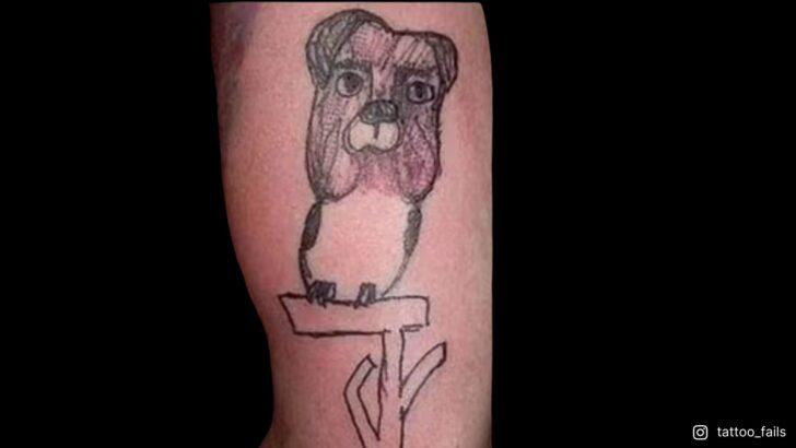 22 Funniest Bad Tattoos That Are So Hilariously Awful