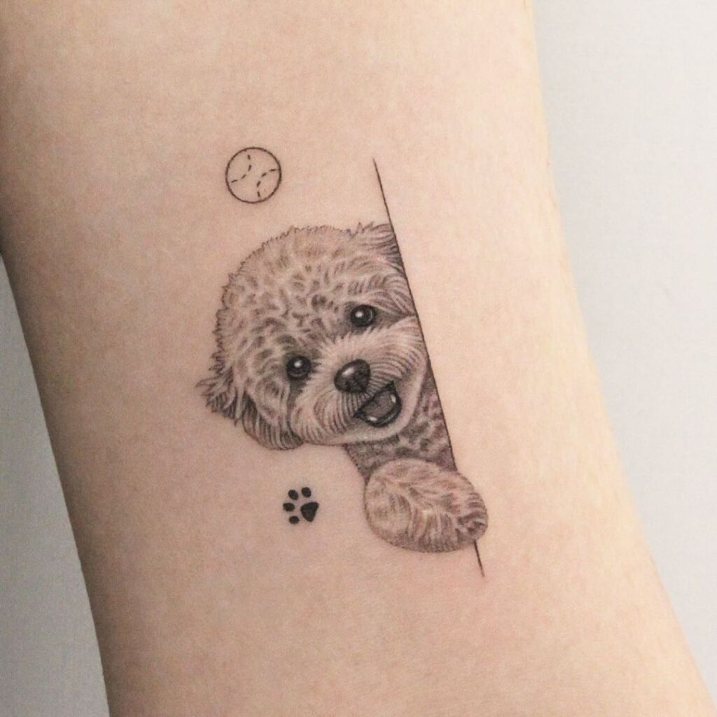 Tatuagem de caniche bonita