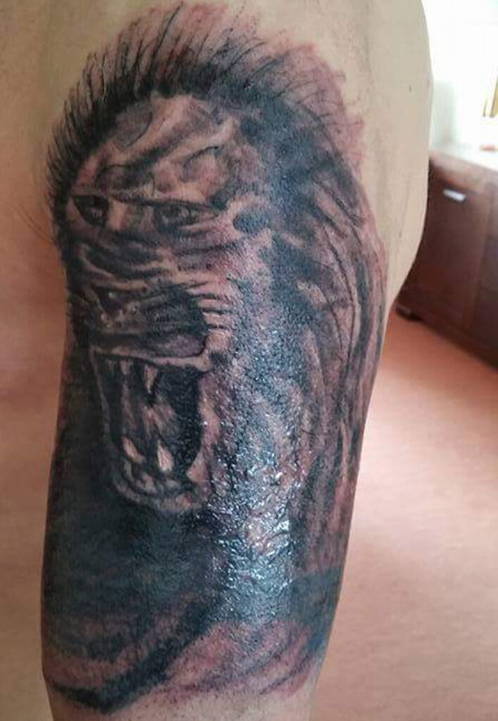 Lion I Guess