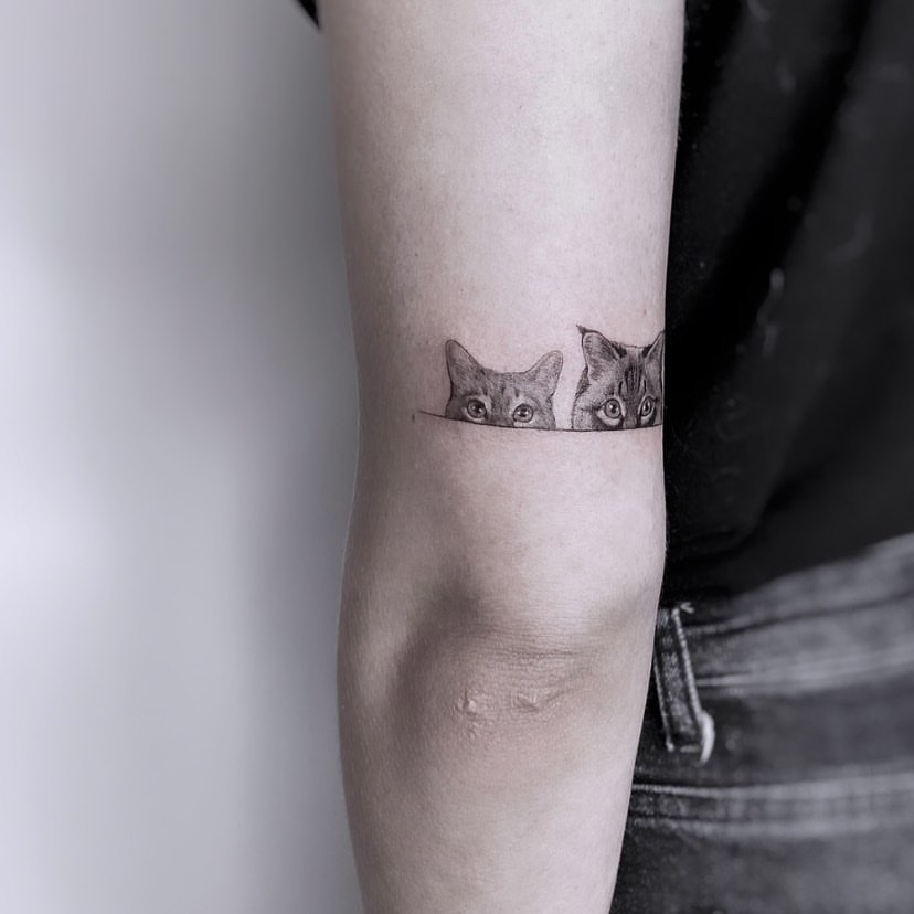 Tatuaje de gatos asomándose