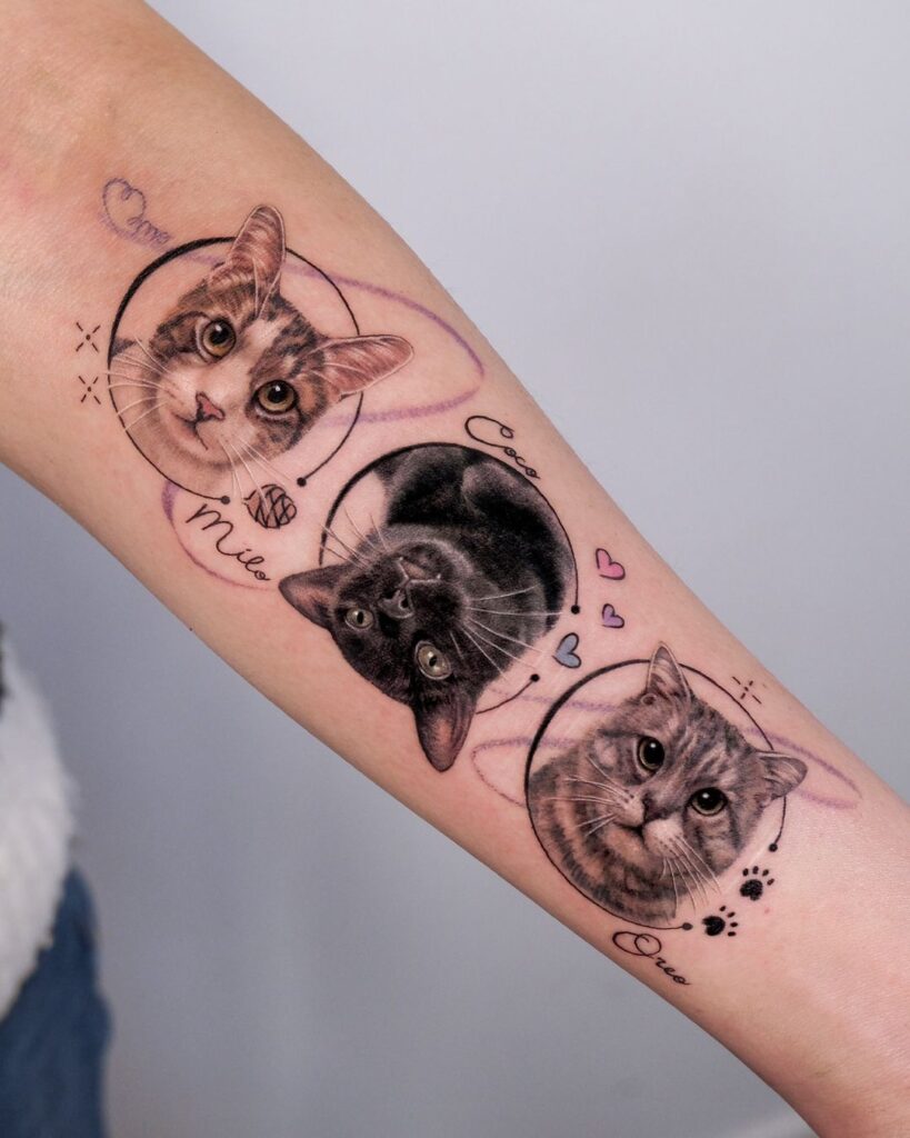 Tatuaggio con tre gatti