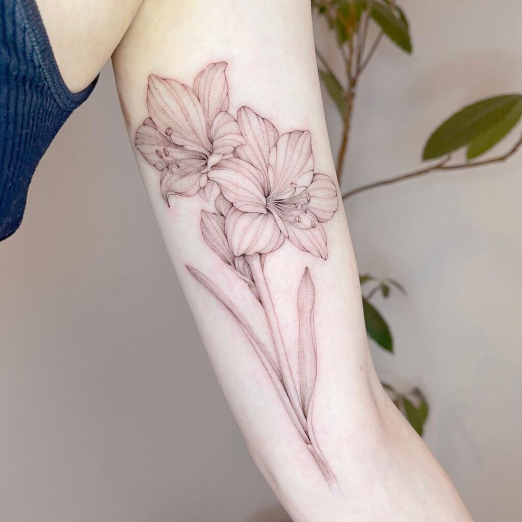 Tatuaggio con fiore di Amaryllis