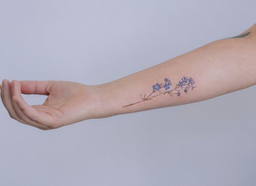 Tatuagem de Larkspur no antebraço