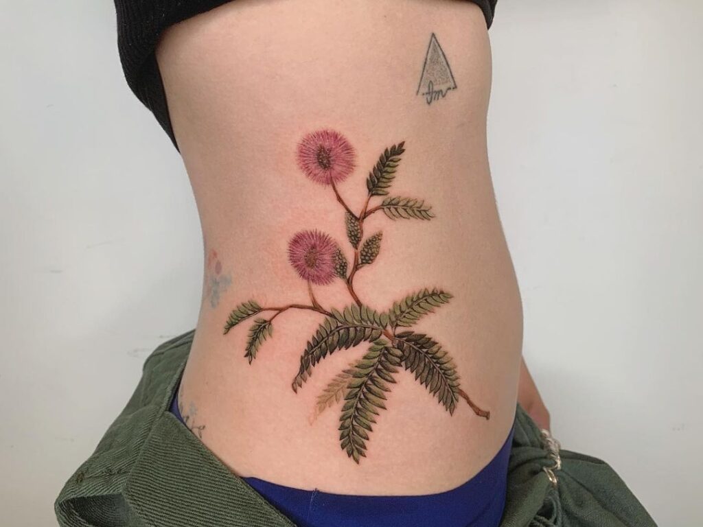 Tatuaggio Mimosa