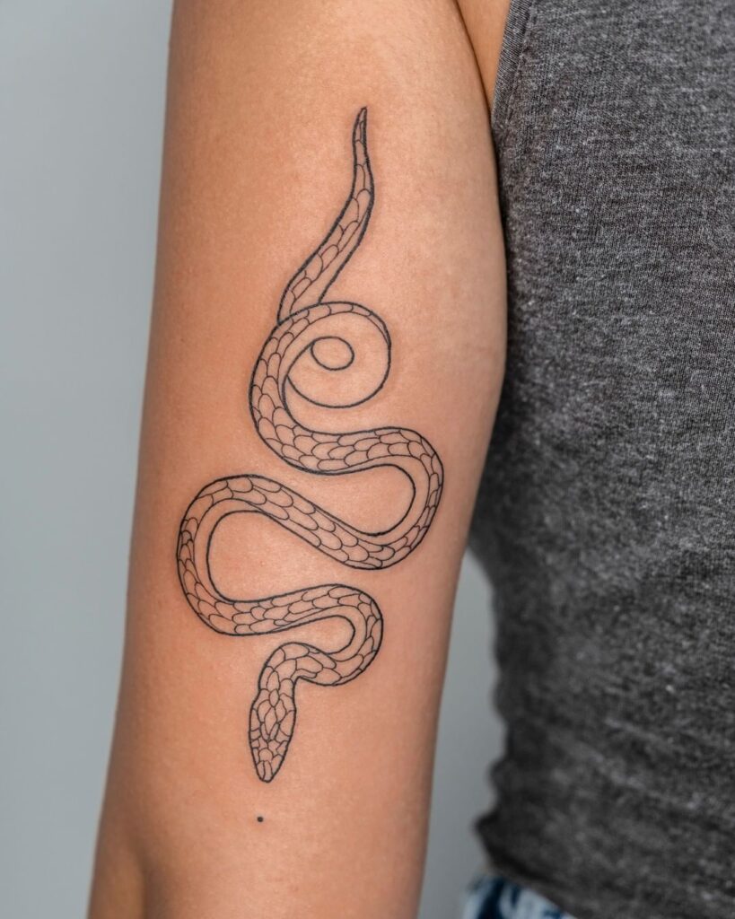 Tatuaggio minimalista del serpente