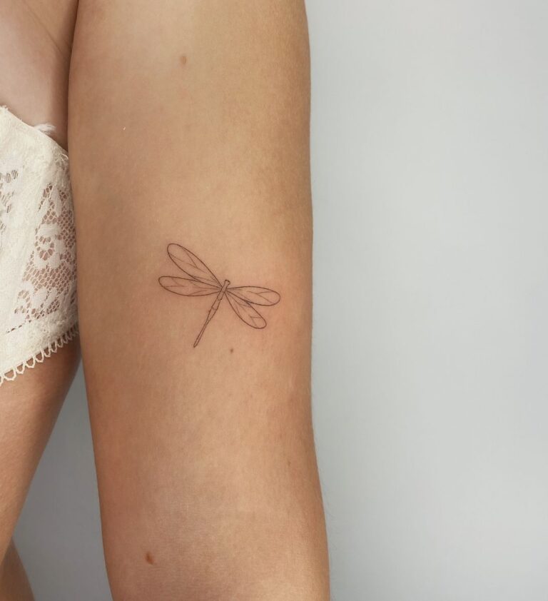 Piccolo tatuaggio a forma di libellula