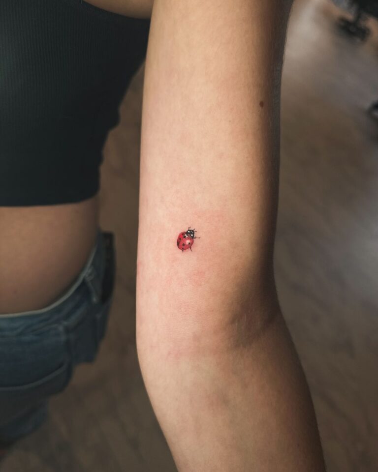 Pequeño tatuaje de mariquita