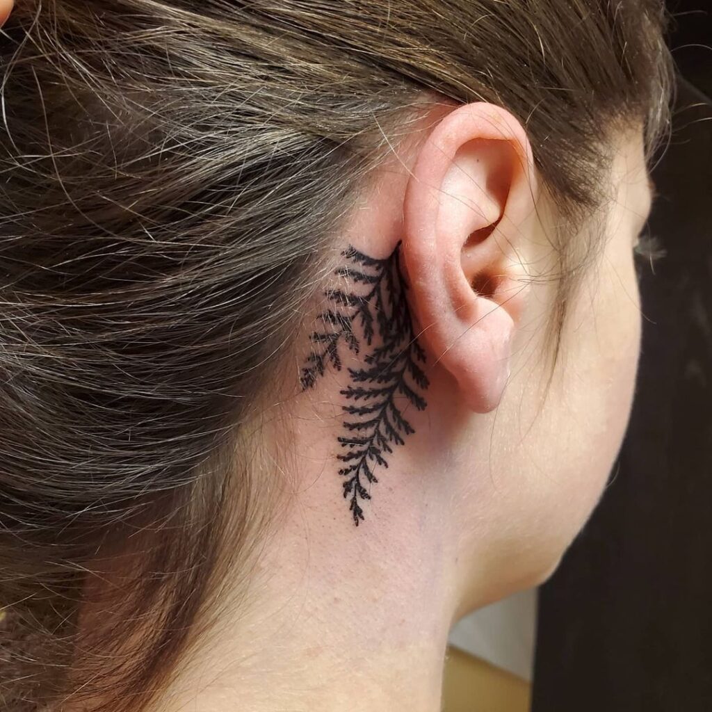 Cedar Branch Tat Behind The Ear