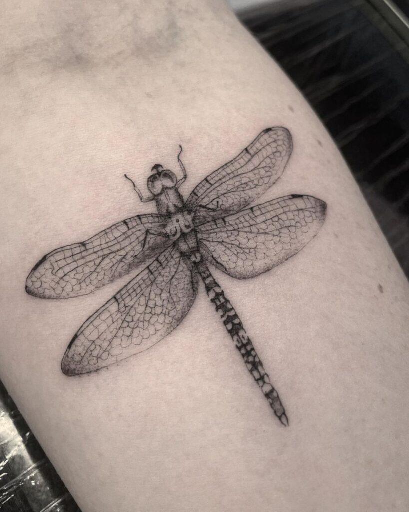 Dragonfly Tattoo