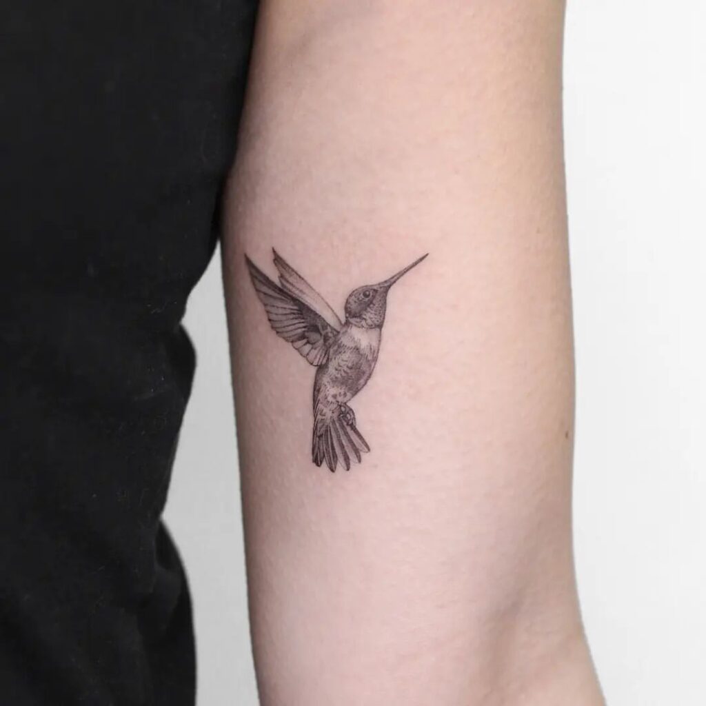 Colibrì Micro Realismo Tat