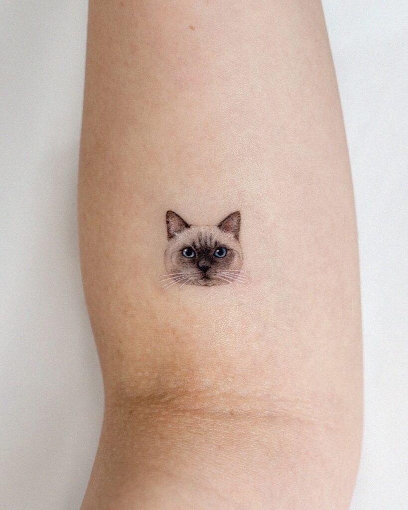  Tatuaggio di gatto in microrealismo