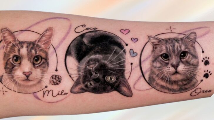 24 tatuagens de animais de estimação adoráveis e comoventes para manter o seu amigo de pelo perto para sempre