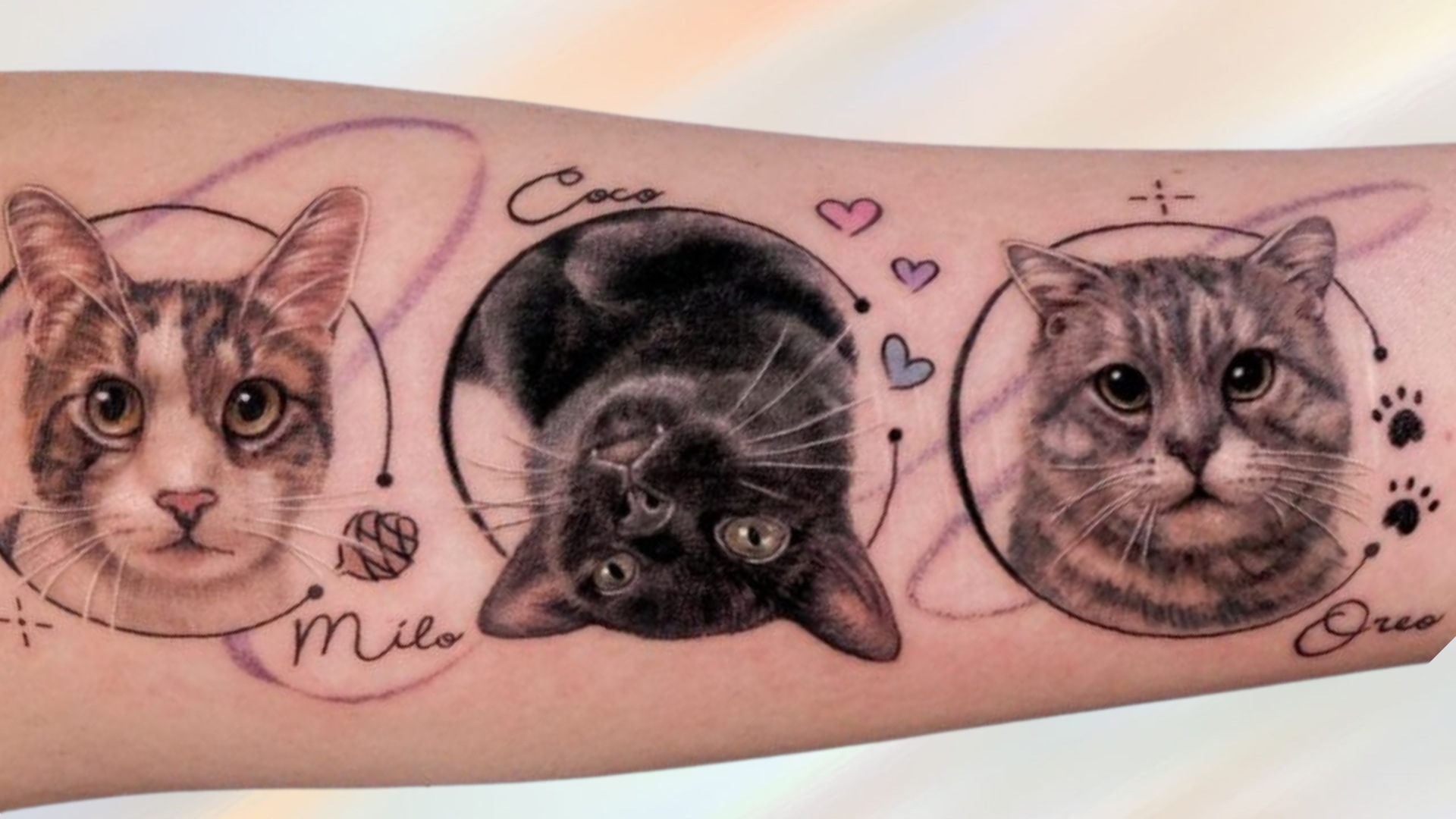 tatuagens de animais de estimação