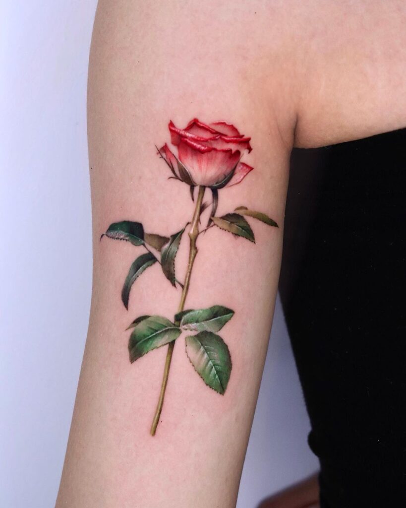 Rose Tattoo