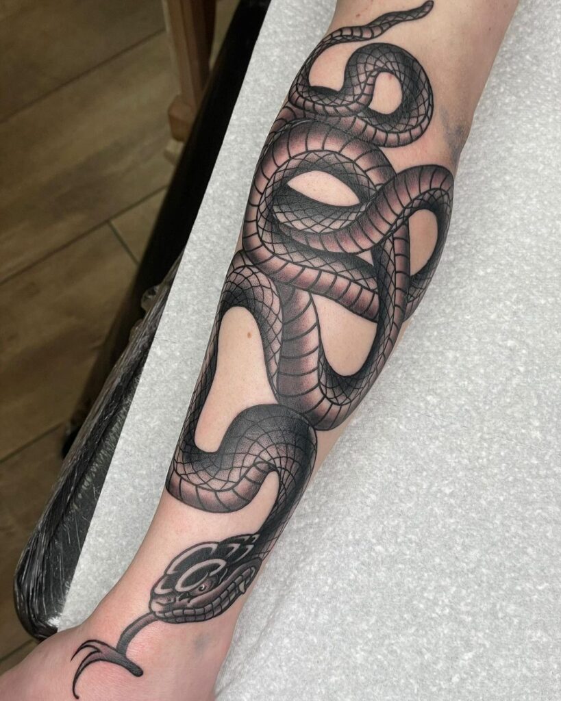 Tatuaggio tradizionale del serpente nero e grigio