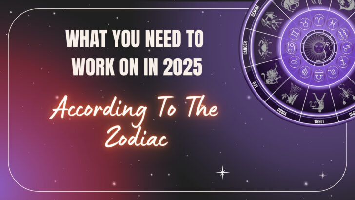 12 Zodiac Signs & What They Need To Work On In 2025