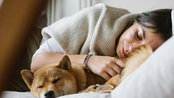 25 Hilarious Signs You Might Be Dealing With A Professional Couch Potato