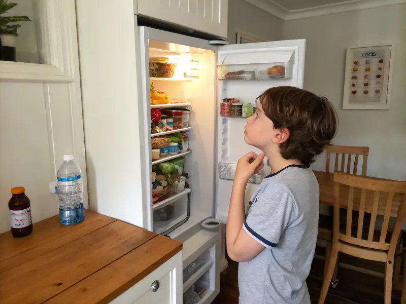 No Opening the Fridge Just Because You’re Bored