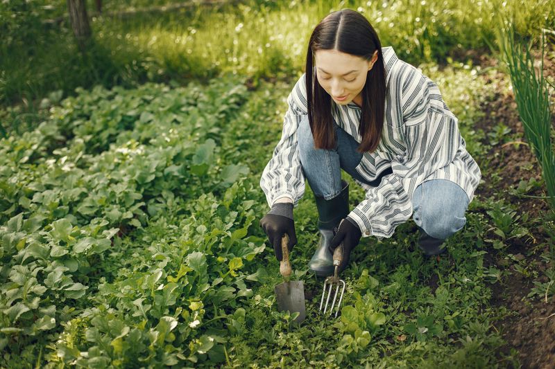 Coltivare un giardino come attività terapeutica