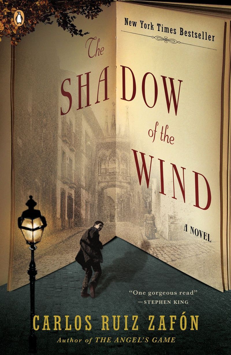 The Shadow of the Wind by Carlos Ruiz Zafón