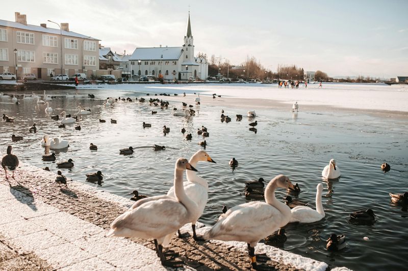 Aquarius - Reykjavik, Iceland