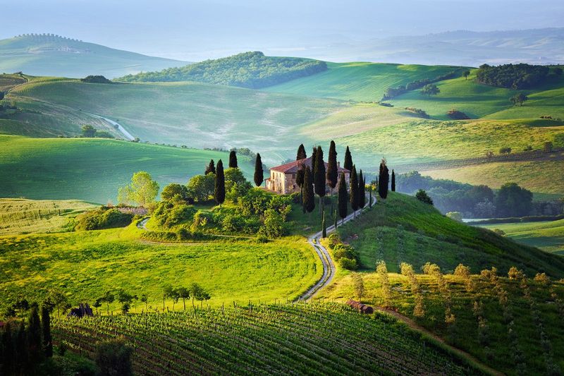 Taurus - Tuscany, Italy