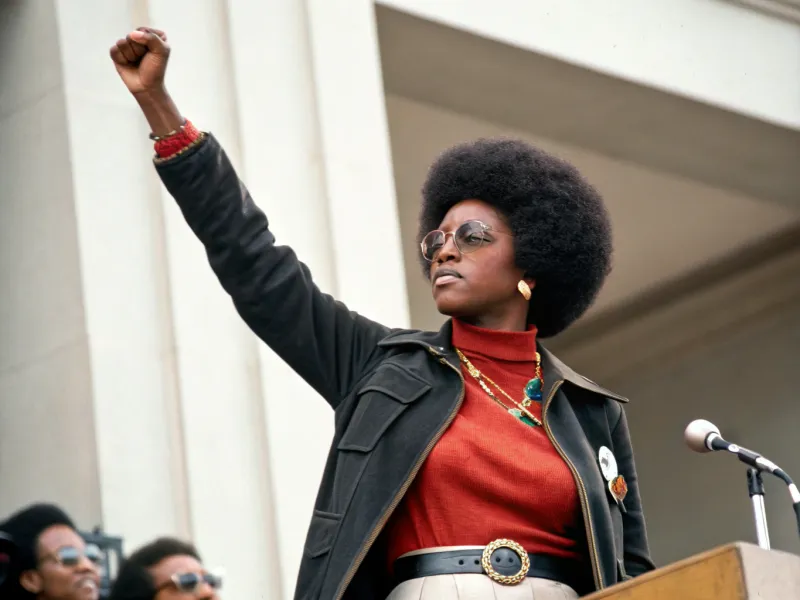 17. The Influence of Black Feminism