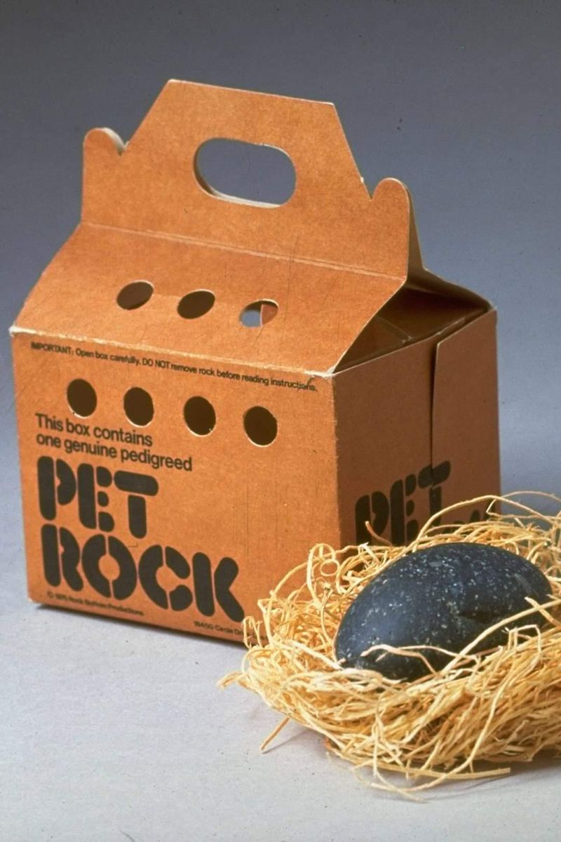 Pet Rocks