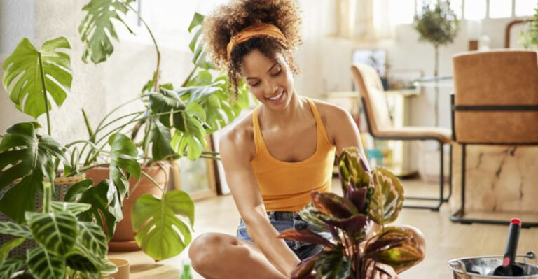 15 Things People with Great Emotional Intelligence Usually Have in Their Home