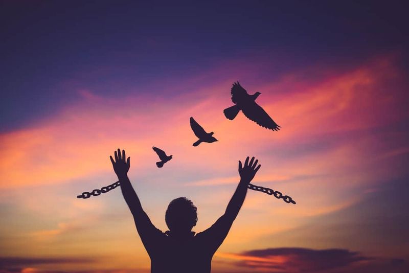 The Unexpected Sense of Freedom