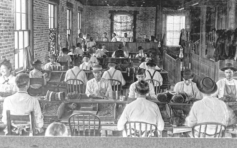 Factory women rolling cigarettes on the line, 1920