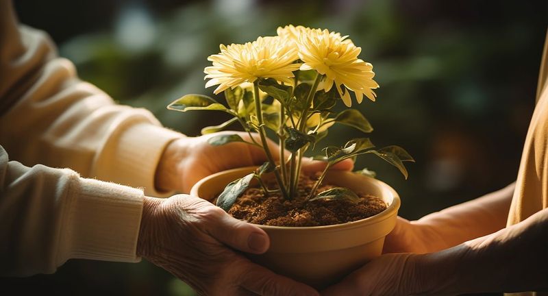 Coltivare la gratitudine