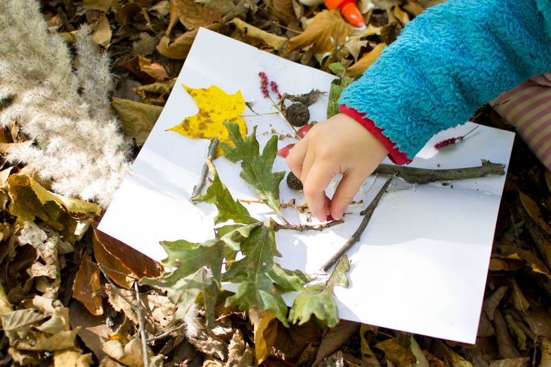 Nature Art Journeys