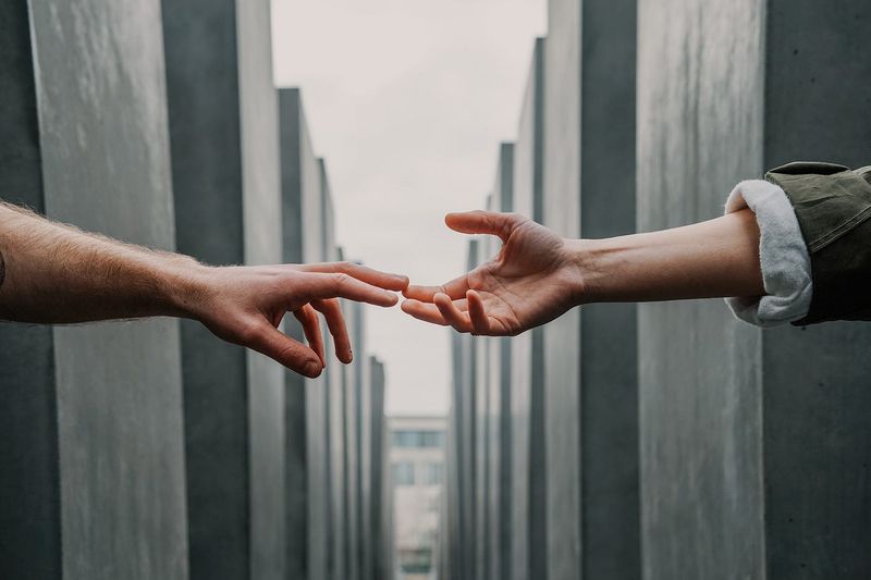 Rebuild Trust