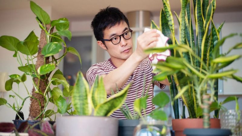 Plant Parenting Styles