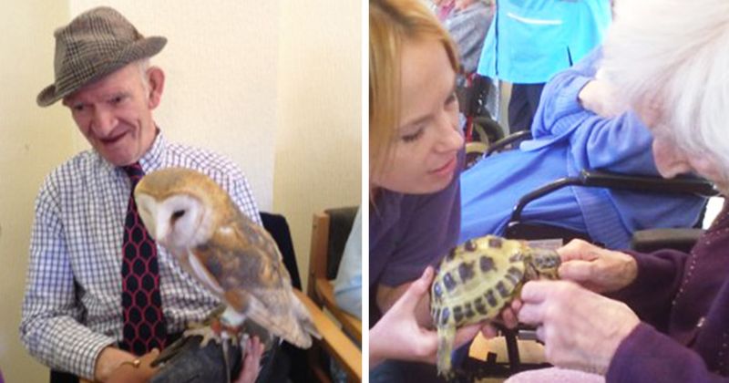 Exotic Pet Ownership