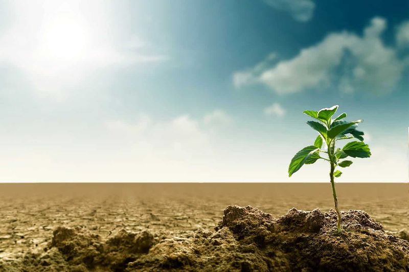 Growth in Discomfort