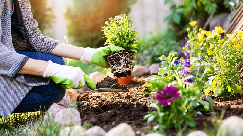 Gardener