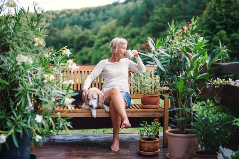 Cultivate Emotional Resilience